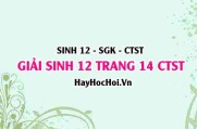 Giải Sinh 12 trang 14 Chân trời sáng tạo SGK